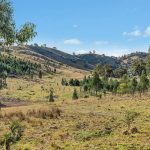 2/1193 Yarrabin Road Mudgee NSW 2850 AUS