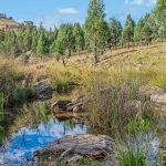 2/1193 Yarrabin Road Mudgee NSW 2850 AUS