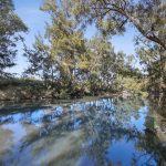 204 Uamby Road Gulgong NSW 2852 AUS