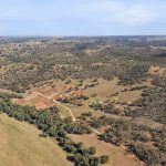 204 Uamby Road Gulgong NSW 2852 AUS