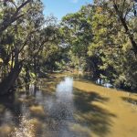 204 Uamby Road Gulgong NSW 2852 AUS