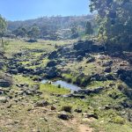 2/1193 Yarrabin Road Mudgee NSW 2850 AUS