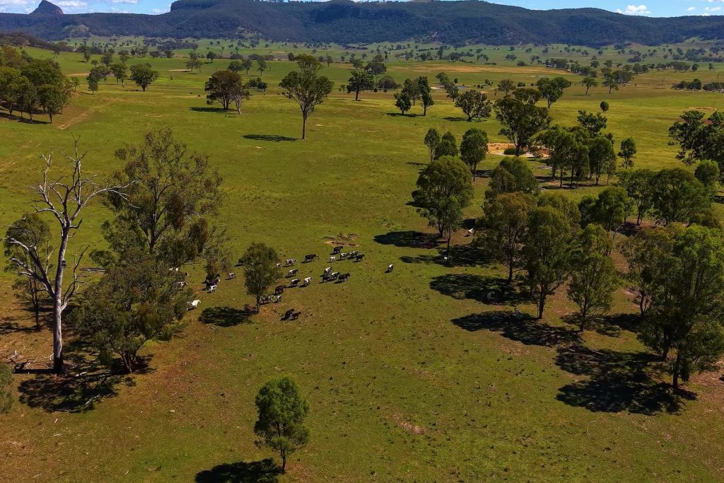Sold - 214 Bowles Lane - New Property in Rylstone - Real Estate by Hamish Rowe