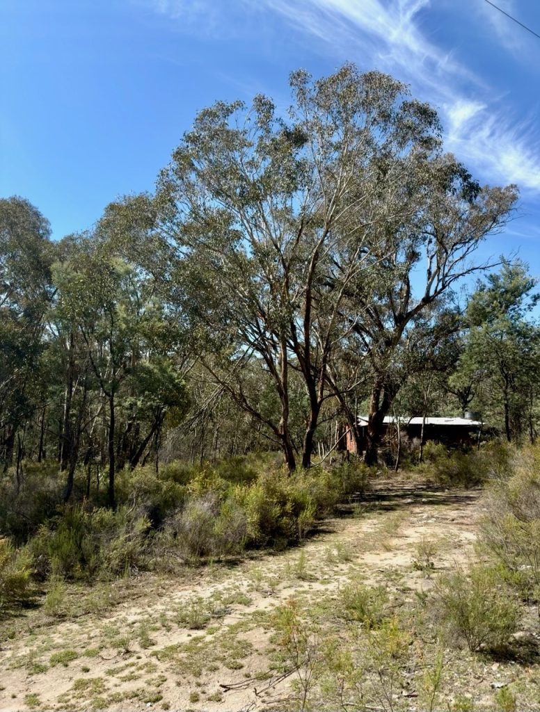 Sold - 4244 Hill End Road - New Property in Mudgee - Real Estate by Adam Woods