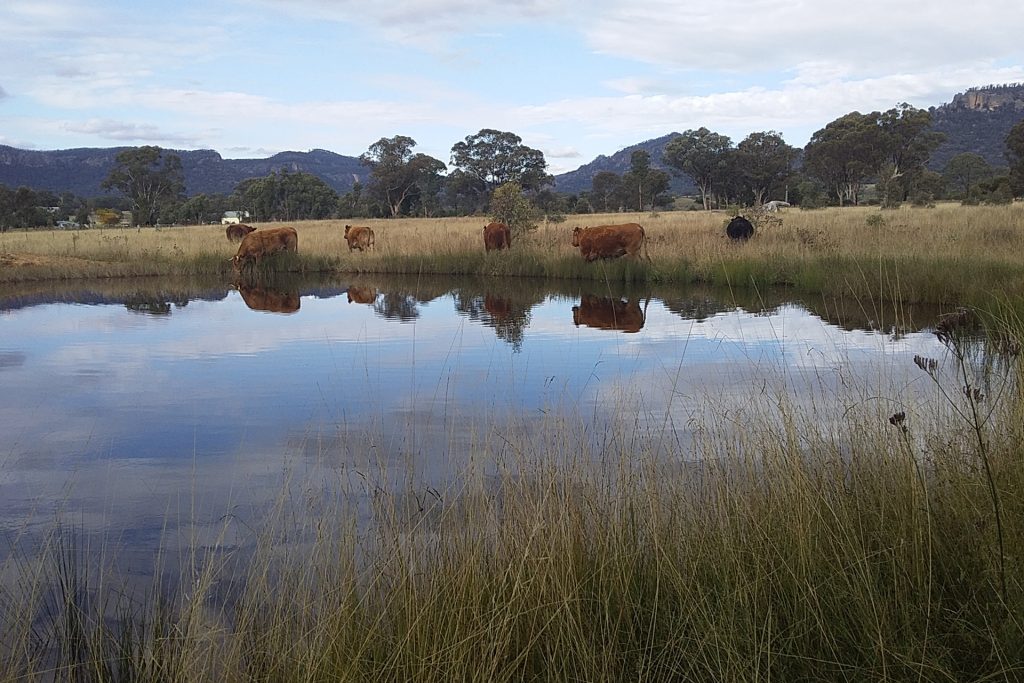 Sold - Lot 1, 277 Noola Road - New Property in Rylstone - Real Estate by Stewart Adlington