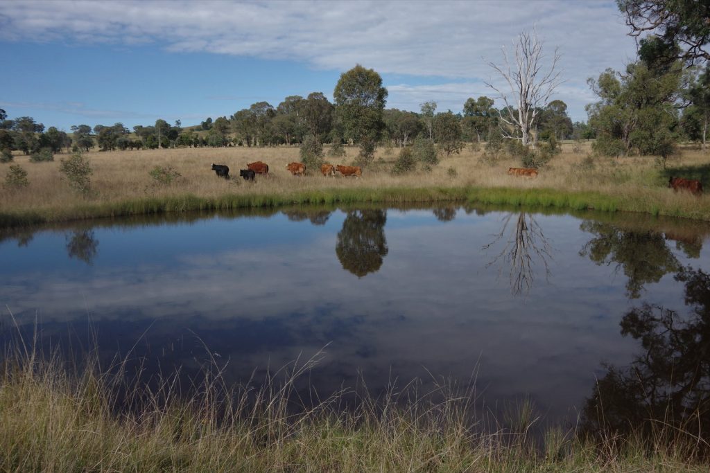 Sold - Lot 1, 277 Noola Road - New Property in Rylstone - Real Estate by Stewart Adlington
