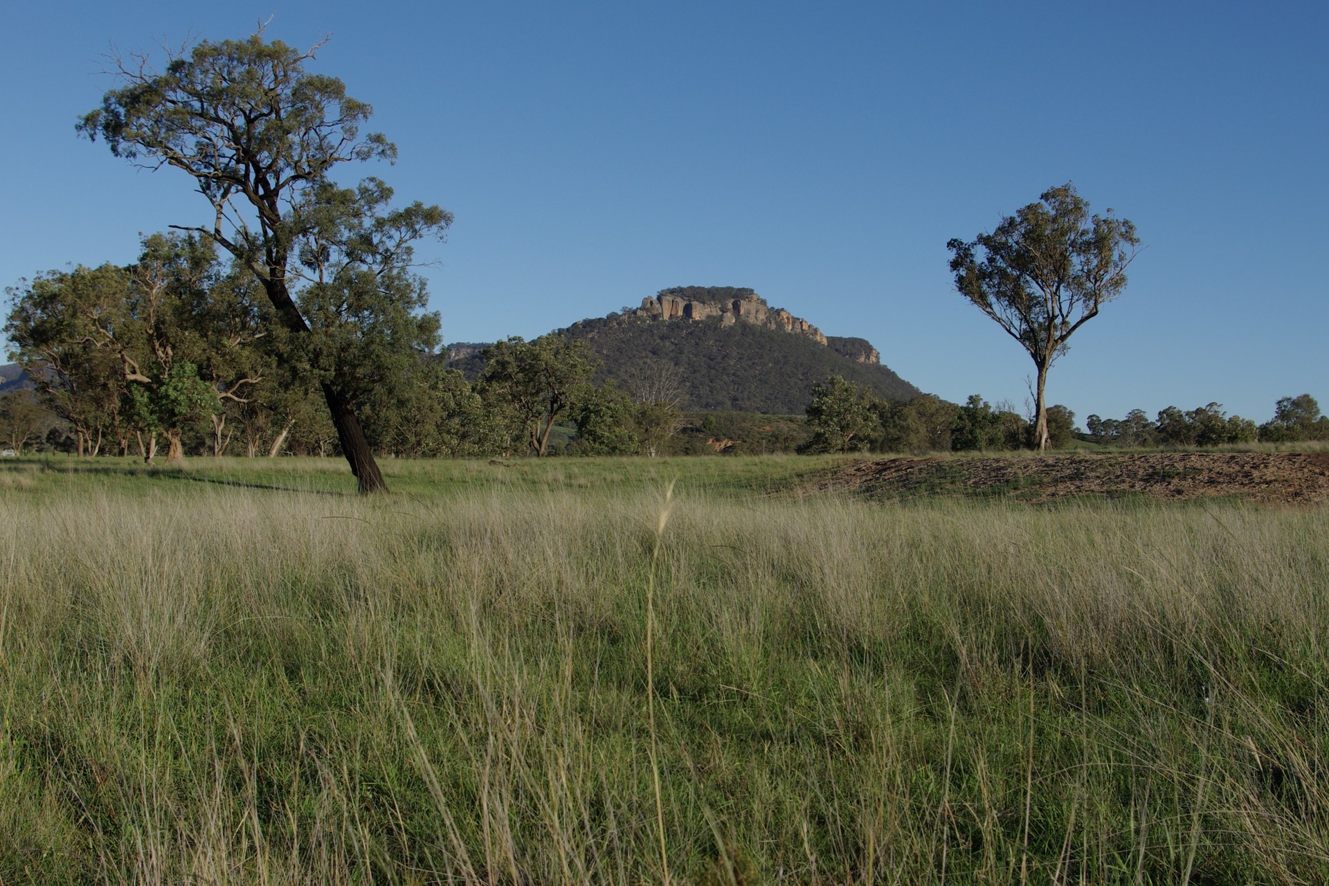 Sold - Lot 1, 277 Noola Road - New Property in Rylstone - Real Estate by Stewart Adlington