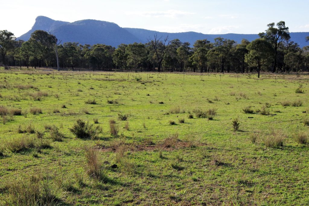 Sold - Lot 1, 277 Noola Road - New Property in Rylstone - Real Estate by Stewart Adlington