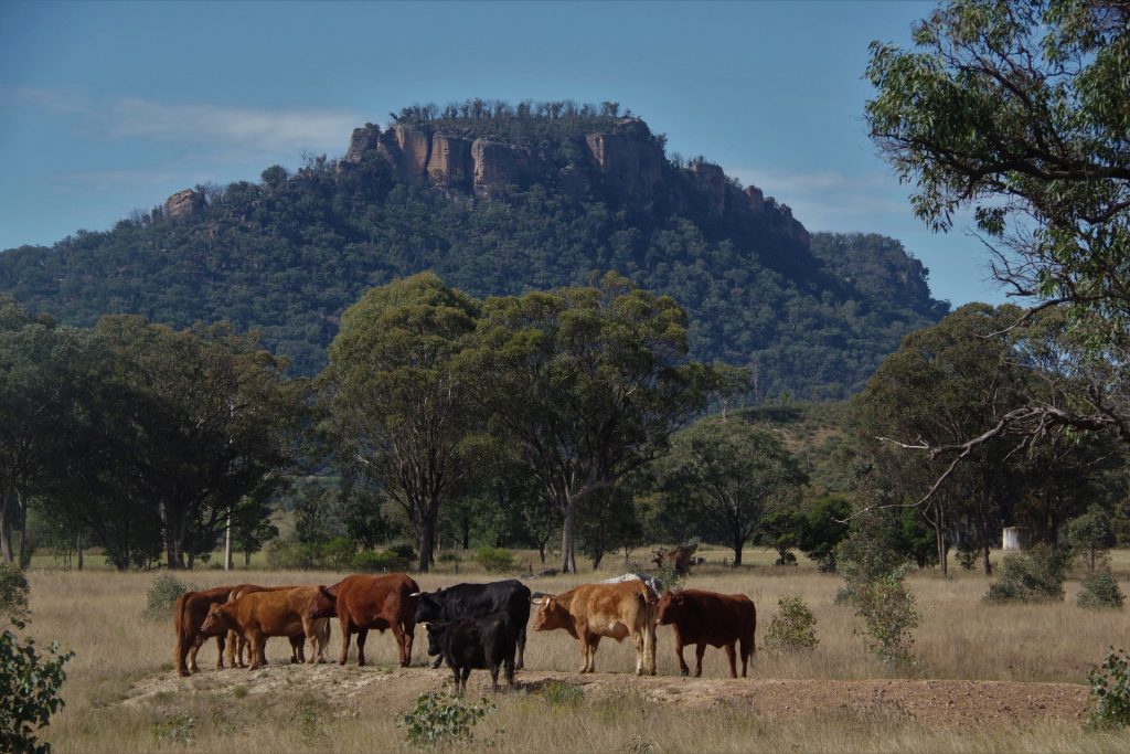 Sold - Lot 1, 277 Noola Road - New Property in Rylstone - Real Estate by Stewart Adlington