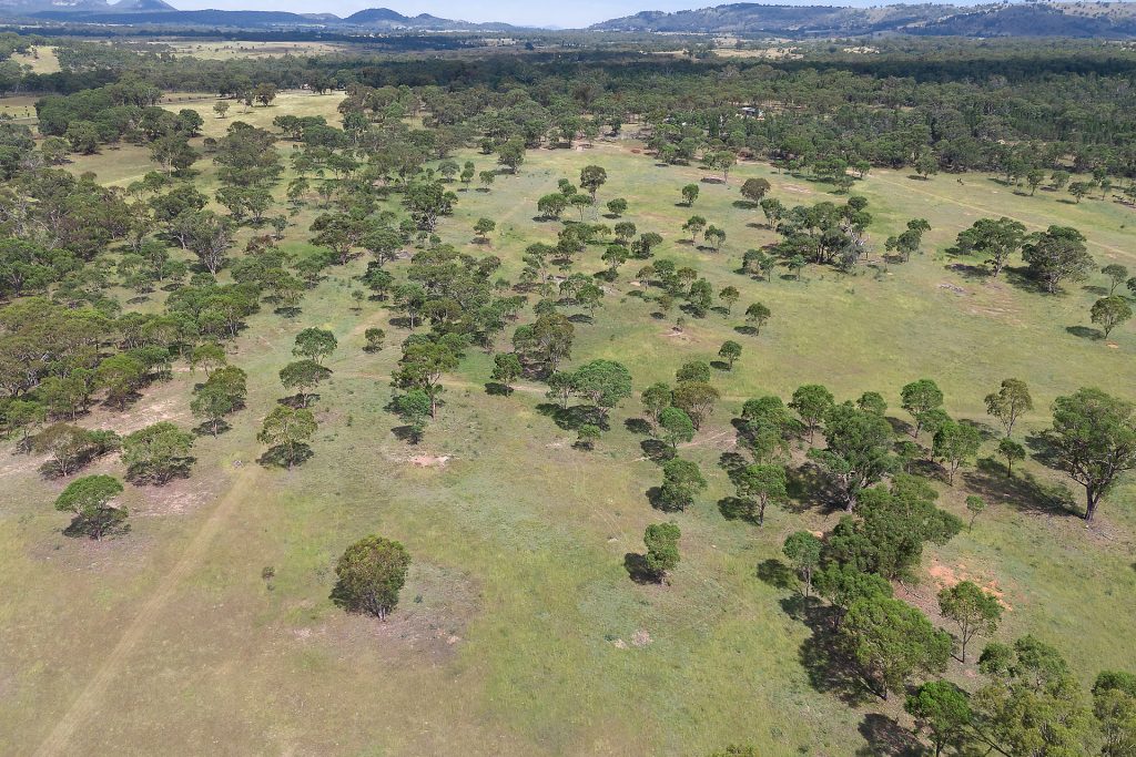 Sold - 293 Mossy Rock Lane - New Property in Rylstone - Real Estate by Stewart Adlington