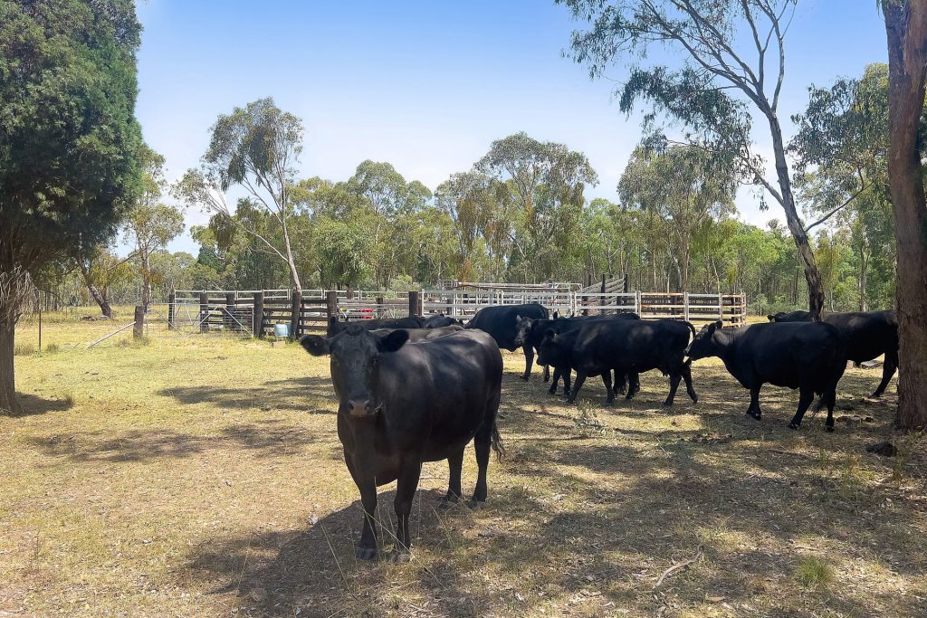 Sold - 293 Mossy Rock Lane - New Property in Rylstone - Real Estate by Stewart Adlington
