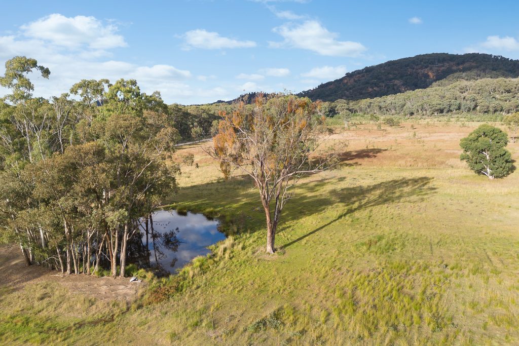 Sold - 230 Reedy Creek Road - New Property in Rylstone - Real Estate by Stewart Adlington