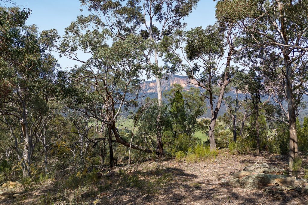 Sold - 4 Glen Davis Road - New Property in Glen Davis - Real Estate by Ingrid Kazzi