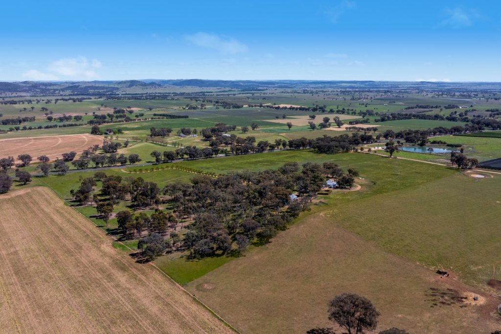Sold - 2160 Castlereagh Highway - New Property in Mudgee - Real Estate by Stewart Adlington