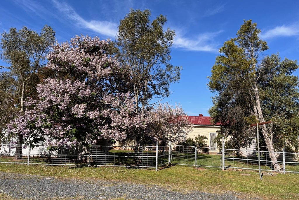 Sold - 133 Port Macquarie Road - New Property in Rylstone - Real Estate by Stewart Adlington