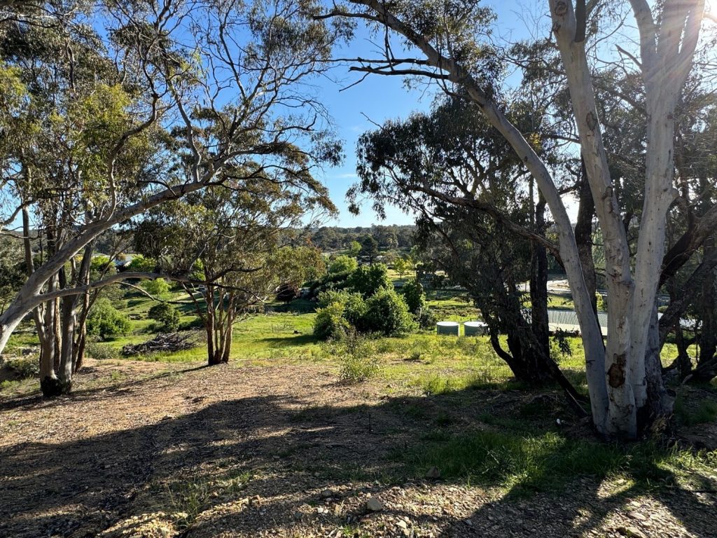 Sold - 79 Merinda Street - New Property in Mudgee - Real Estate by Adam Sutherland