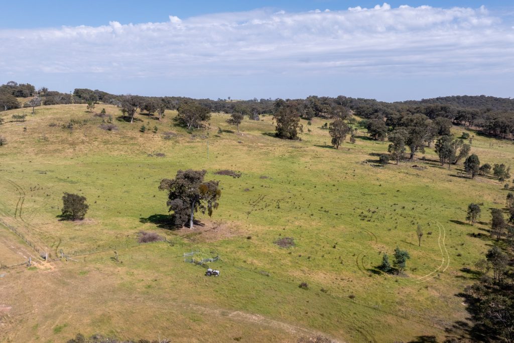 Sold - 515 Wallawaugh Road - New Property in Mudgee - Real Estate by Stewart Adlington
