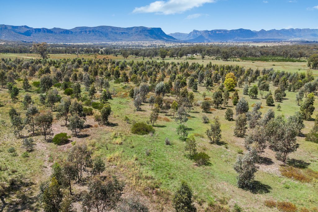 Sold - 137 Myalla Road - New Property in Rylstone - Real Estate by Stewart Adlington
