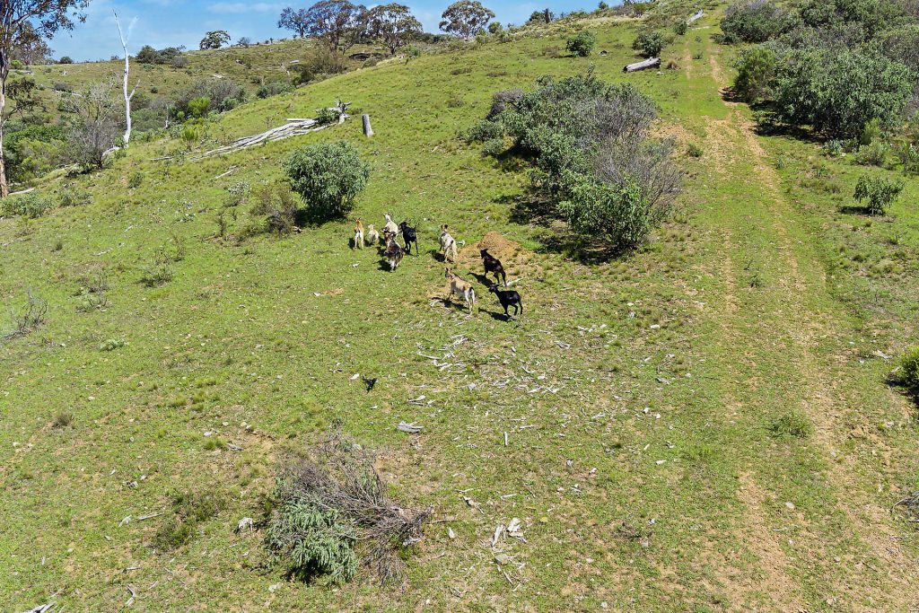 Sold - 5528 Ilford Sofala Road - New Property in Bathurst - Real Estate by Stewart Adlington