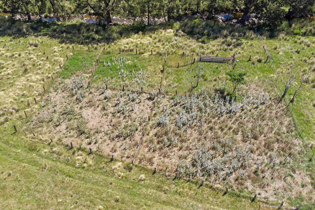 Sold - 5528 Ilford Sofala Road - New Property in Bathurst - Real Estate by Stewart Adlington