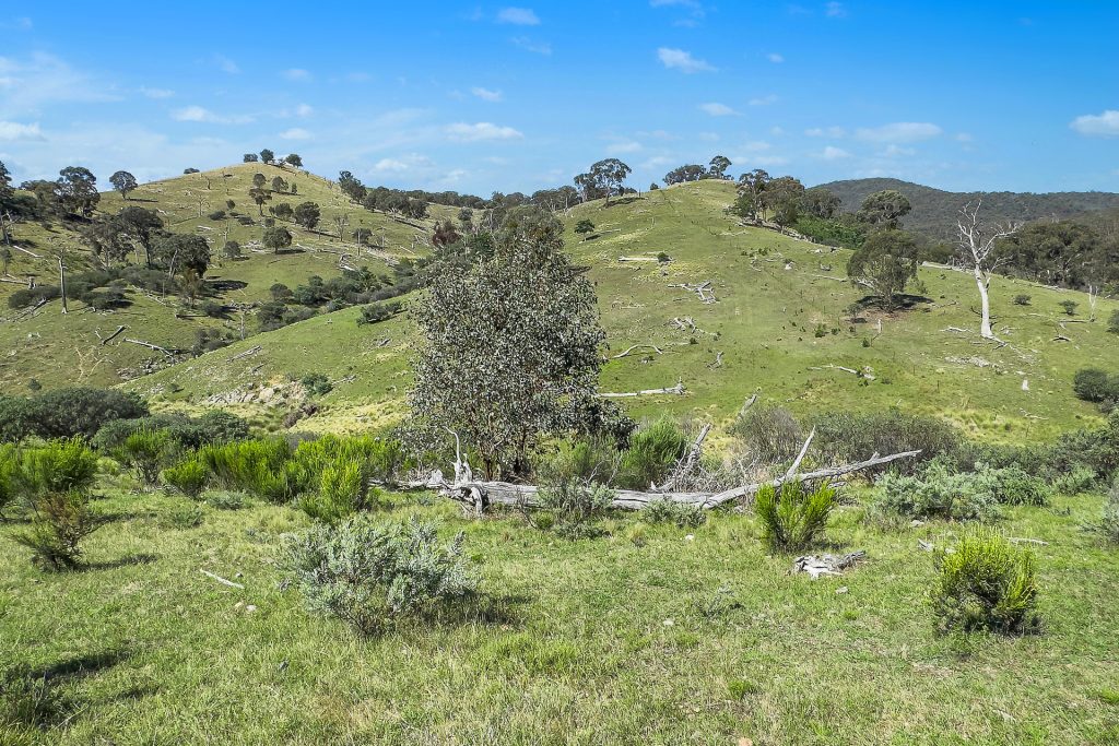 Sold - 5528 Ilford Sofala Road - New Property in Bathurst - Real Estate by Stewart Adlington