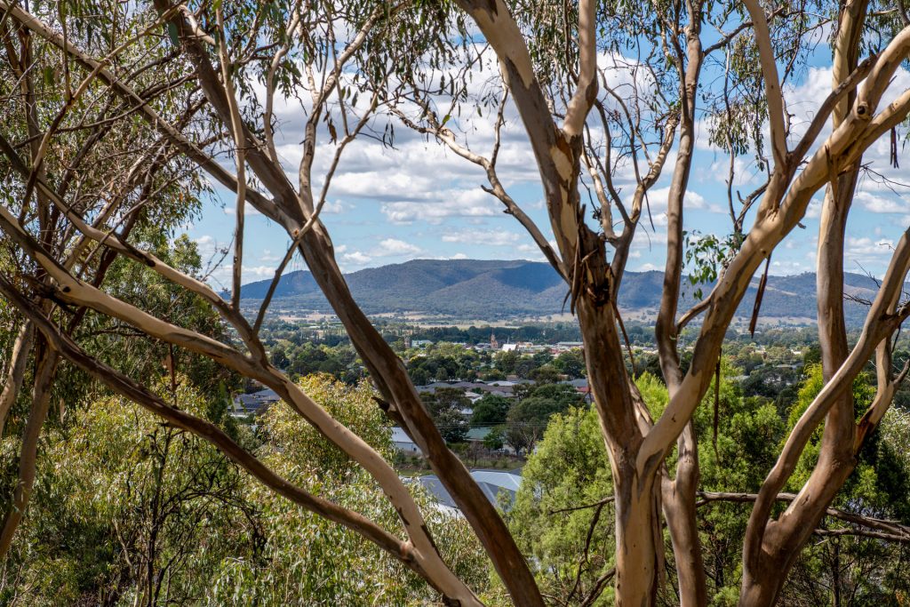 Sold - 7 Common Road - New Property in Mudgee - Real Estate by Adam Woods