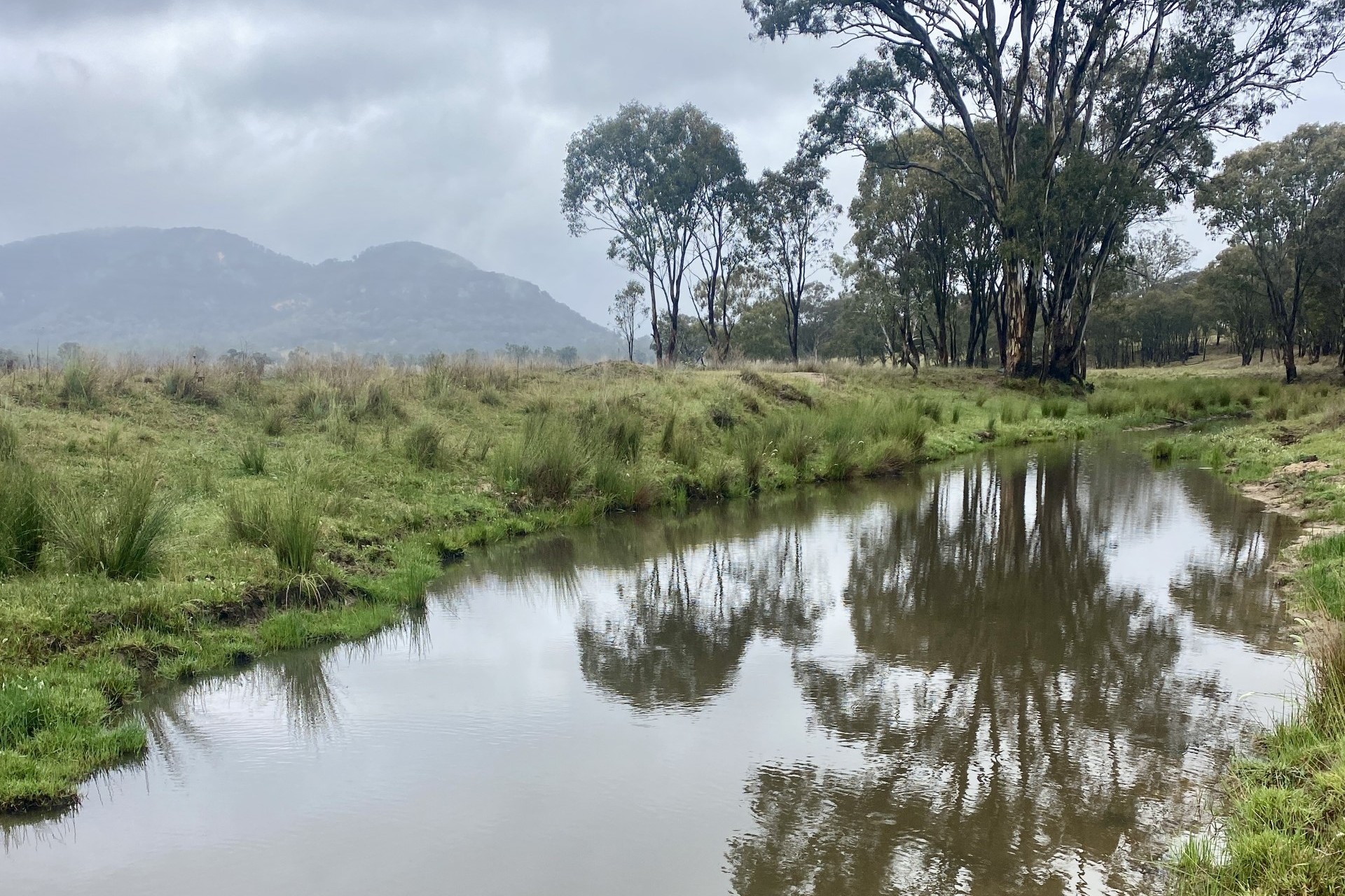 Sold - 293 Mossy Rock Lane - New Property in Rylstone - Real Estate by Stewart Adlington