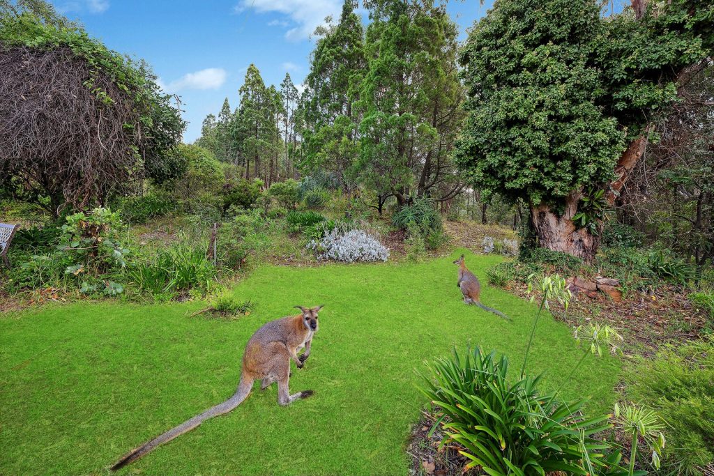 Sold - 22 Albens Lane - New Property in Mudgee - Real Estate by Adam Woods