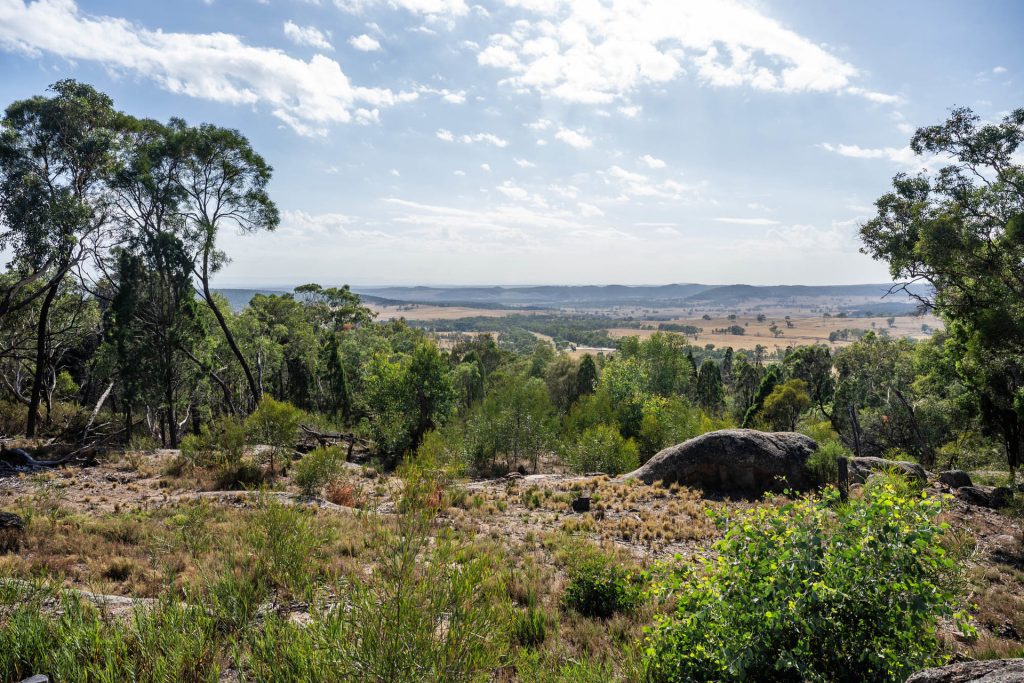 Sold - 117 Ridge Road - New Property in Mudgee - Real Estate by Adam Woods