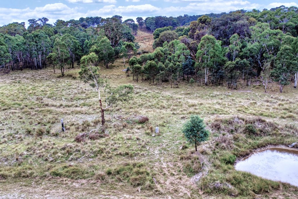 Sold - 309 Bonds Road - New Property in Mudgee - Real Estate by Stewart Adlington