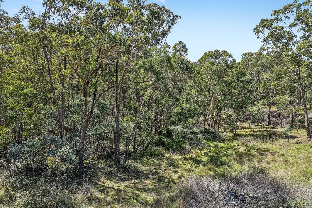 Sold -  Castlereagh Highway - New Property in Capertee - Real Estate by Stewart Adlington