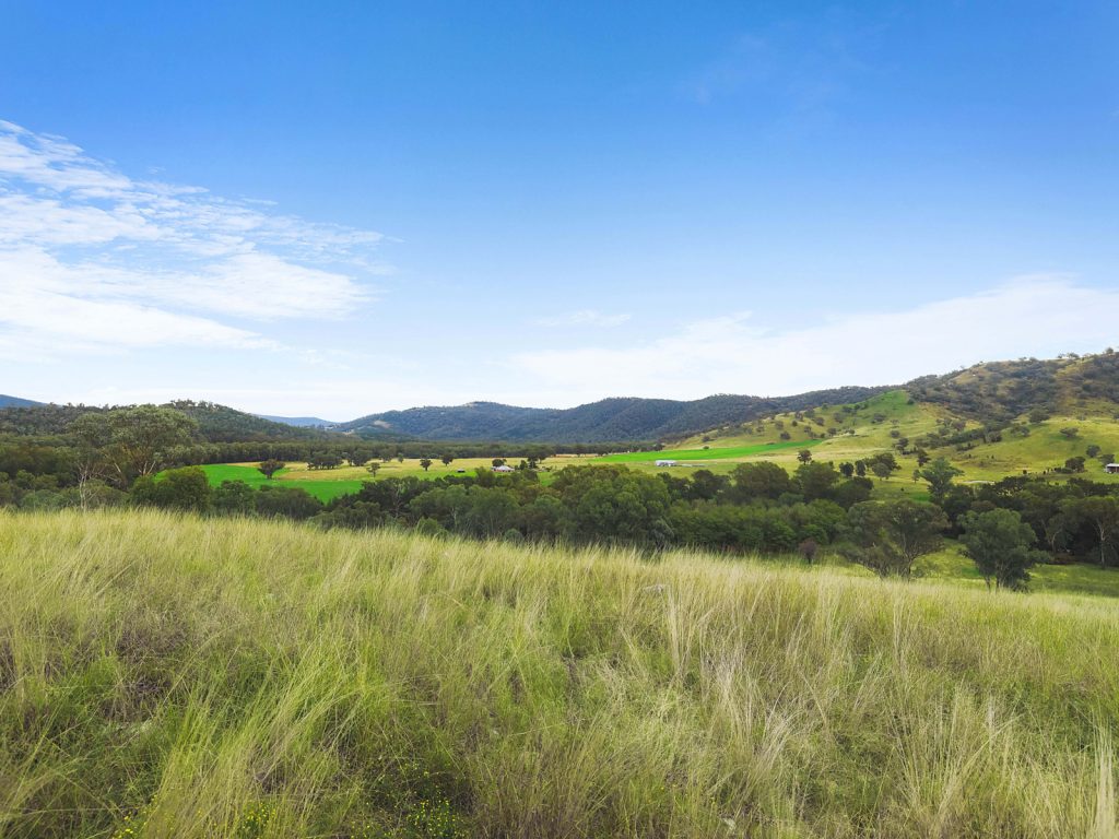 2187 Yarrabin Road, Mudgee