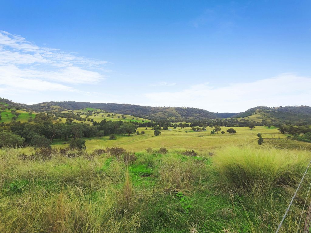Sold - 2187 Yarrabin Road - New Property in Mudgee - Real Estate by Adam Sutherland