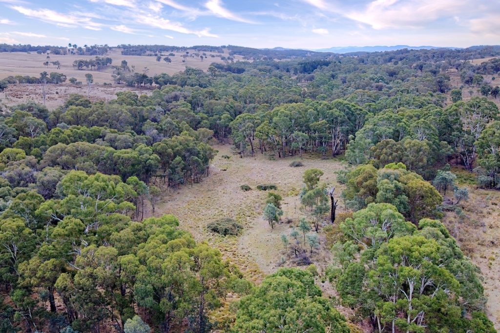 Sold - 309 Bonds Road - New Property in Mudgee - Real Estate by Stewart Adlington