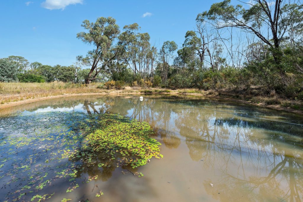 Sold - 272 Laheys Creek Road - New Property in Gulgong - Real Estate by Adam Sutherland