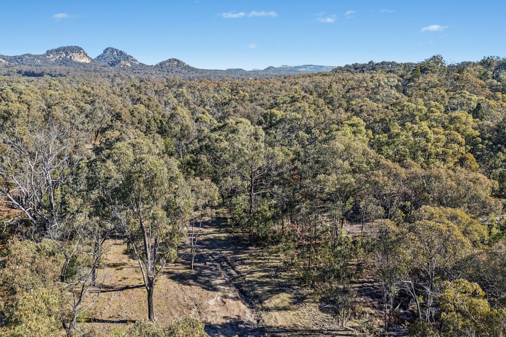 Sold - 401 Reedy Creek Road - New Property in Rylstone - Real Estate by  