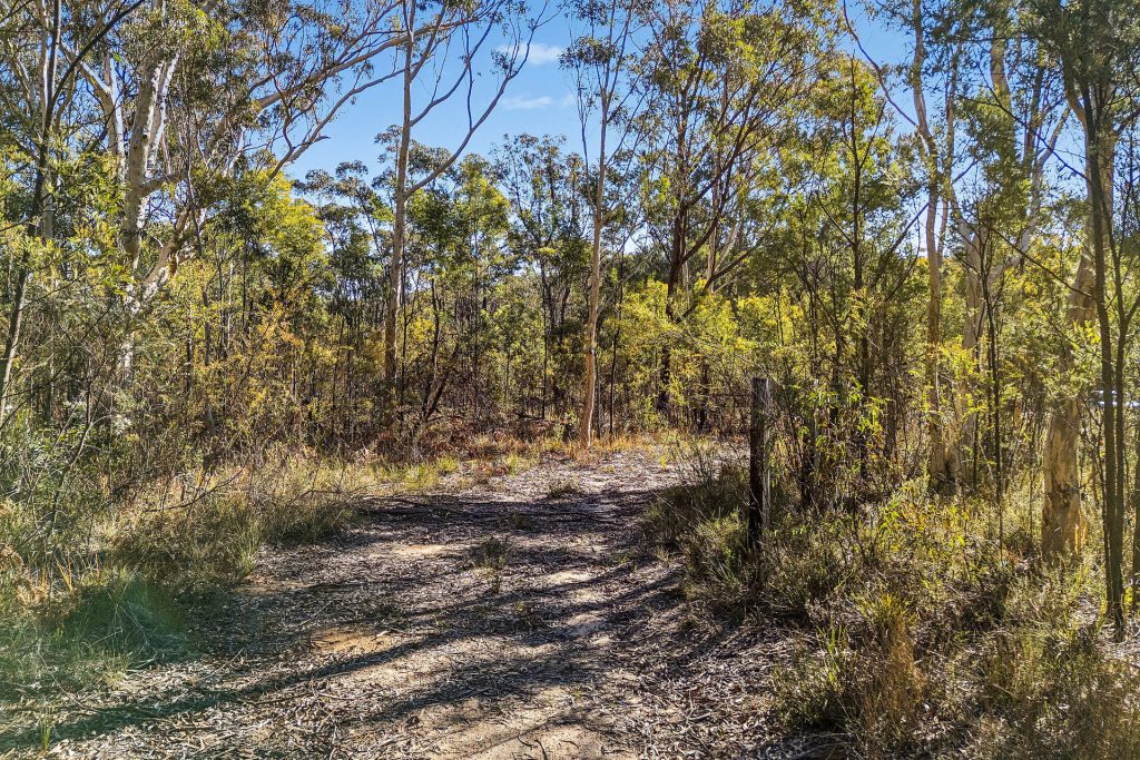 Sold - 401 Reedy Creek Road - New Property in Rylstone - Real Estate by  