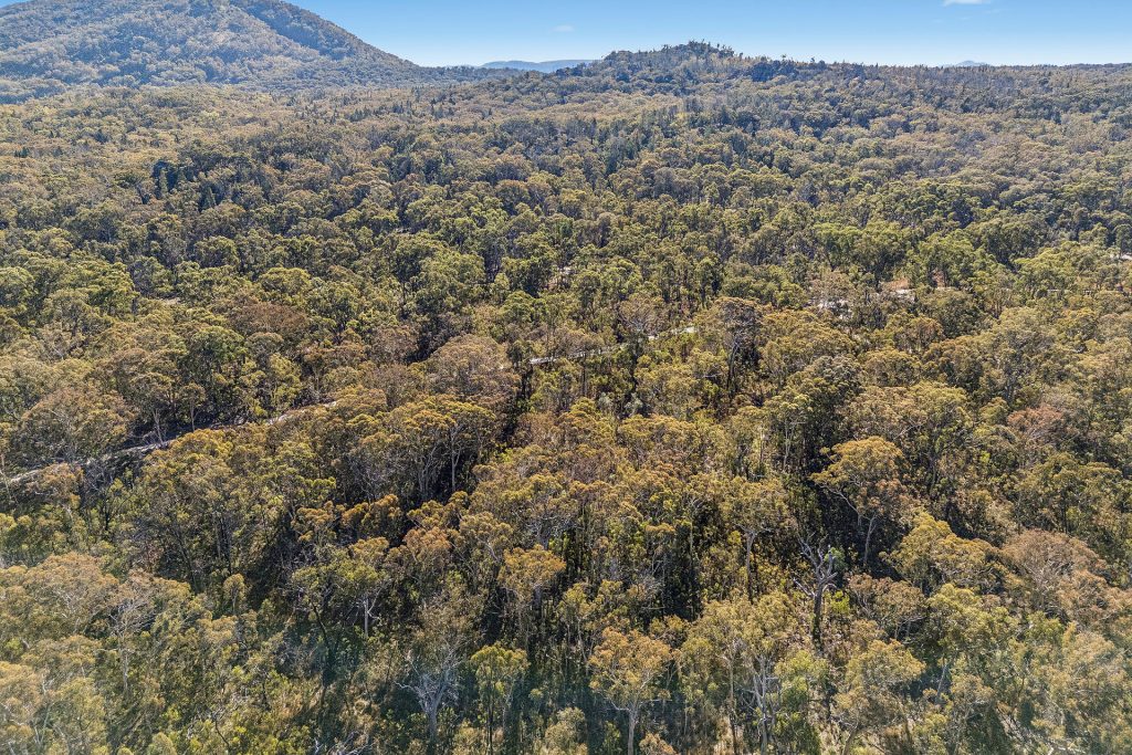 Sold - 401 Reedy Creek Road - New Property in Rylstone - Real Estate by  