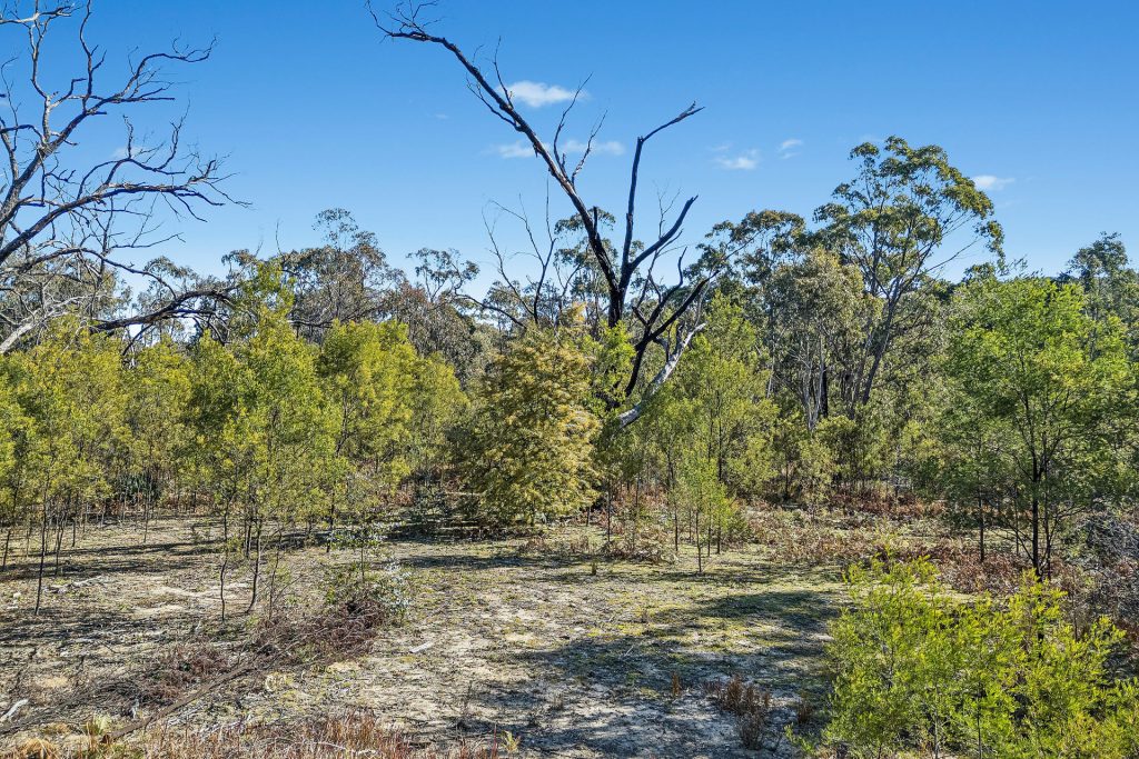 Sold - 401 Reedy Creek Road - New Property in Rylstone - Real Estate by  