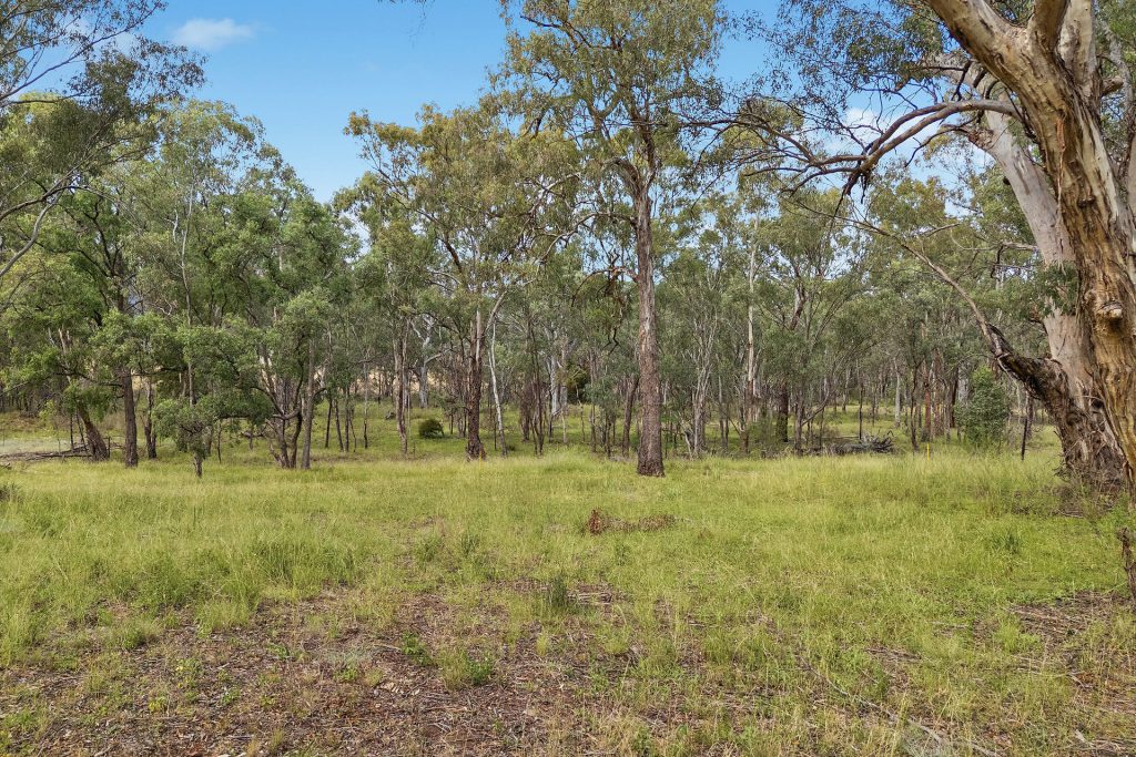 Sold - Lot 41 Rylstone Street - New Property in Glen Alice - Real Estate by Elizabeth Turner