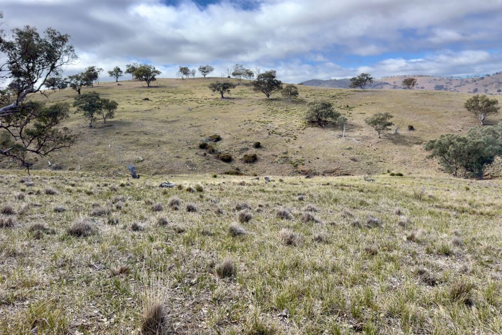 For Sale -  Lot 65, 4780 Ilford Sofala Road, Sofala - New Property in Bathurst - Real Estate by Stewart Adlington