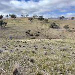 Lot 65, 4780 Ilford Sofala Road, Sofala Bathurst NSW 2795 AUS