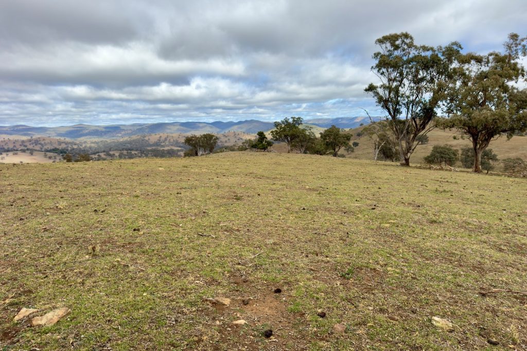 For Sale -  Lot 65, 4780 Ilford Sofala Road, Sofala - New Property in Bathurst - Real Estate by Stewart Adlington