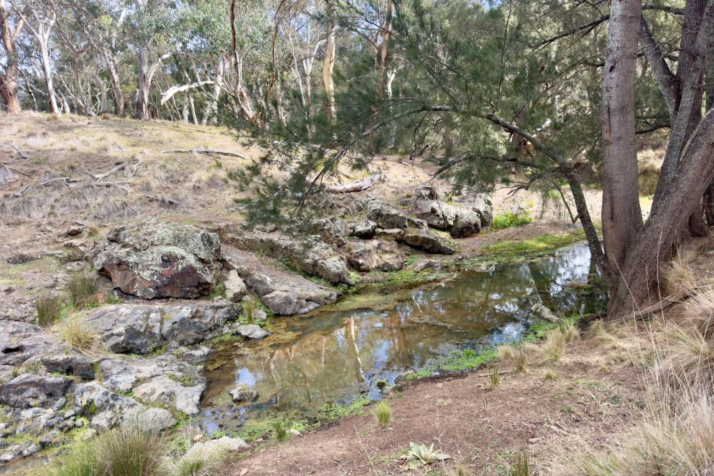 For Sale -  Lot 65, 4780 Ilford Sofala Road, Sofala - New Property in Bathurst - Real Estate by Stewart Adlington