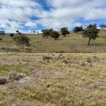 Lot 65, 4780 Ilford Sofala Road, Sofala Bathurst NSW 2795 AUS