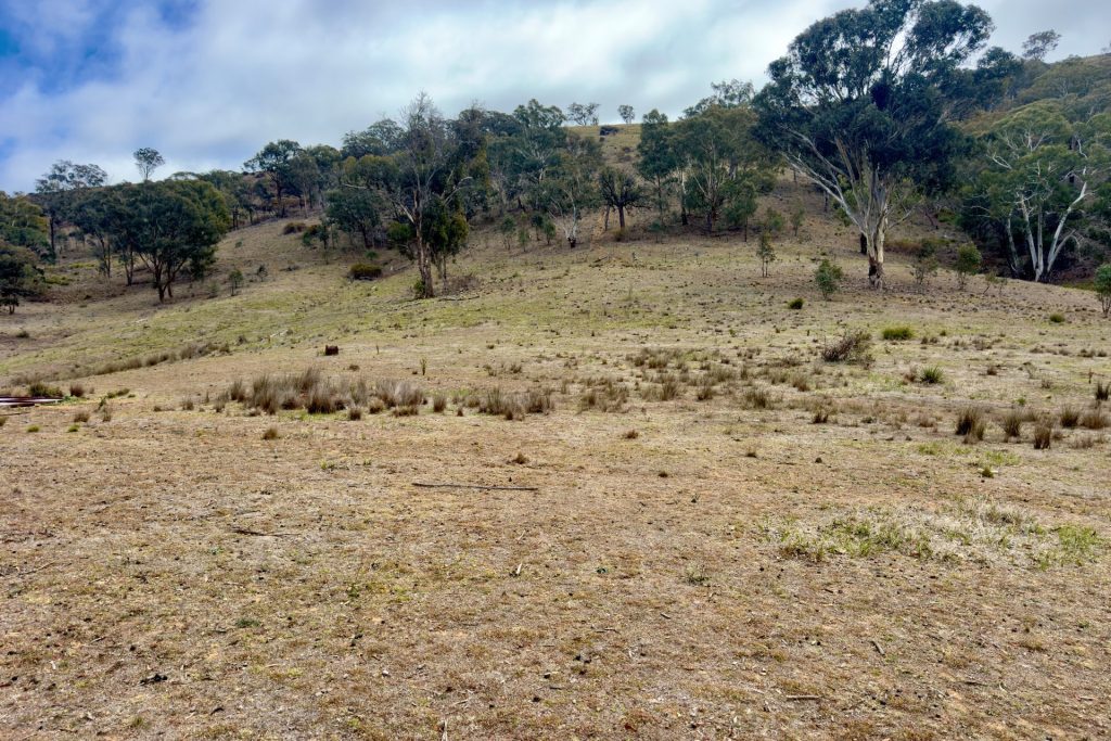 For Sale -  Lot 65, 4780 Ilford Sofala Road, Sofala - New Property in Bathurst - Real Estate by Stewart Adlington