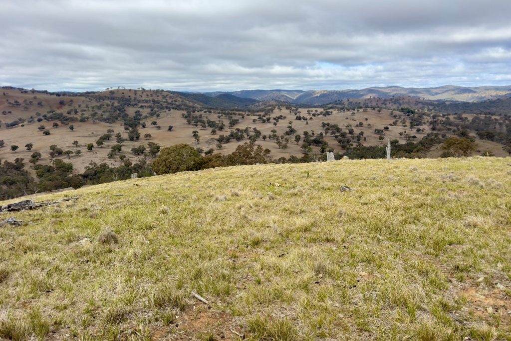 For Sale -  Lot 65, 4780 Ilford Sofala Road, Sofala - New Property in Bathurst - Real Estate by Stewart Adlington