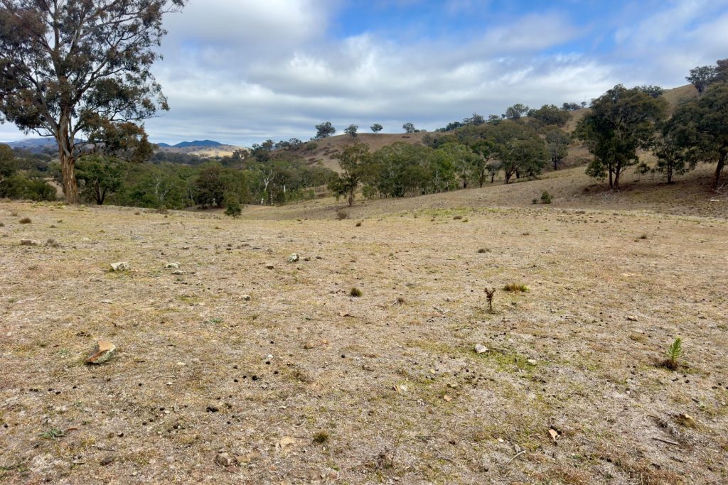 For Sale -  Lot 65, 4780 Ilford Sofala Road, Sofala - New Property in Bathurst - Real Estate by Stewart Adlington