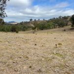 Lot 65, 4780 Ilford Sofala Road, Sofala Bathurst NSW 2795 AUS