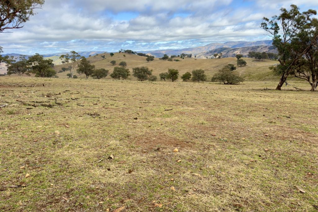 For Sale -  Lot 65, 4780 Ilford Sofala Road, Sofala - New Property in Bathurst - Real Estate by Stewart Adlington